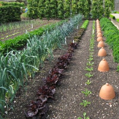 Gardens at Berchtesgaden