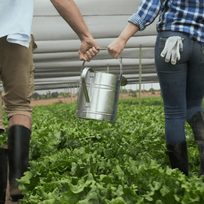 Farming at Berchtesgaden