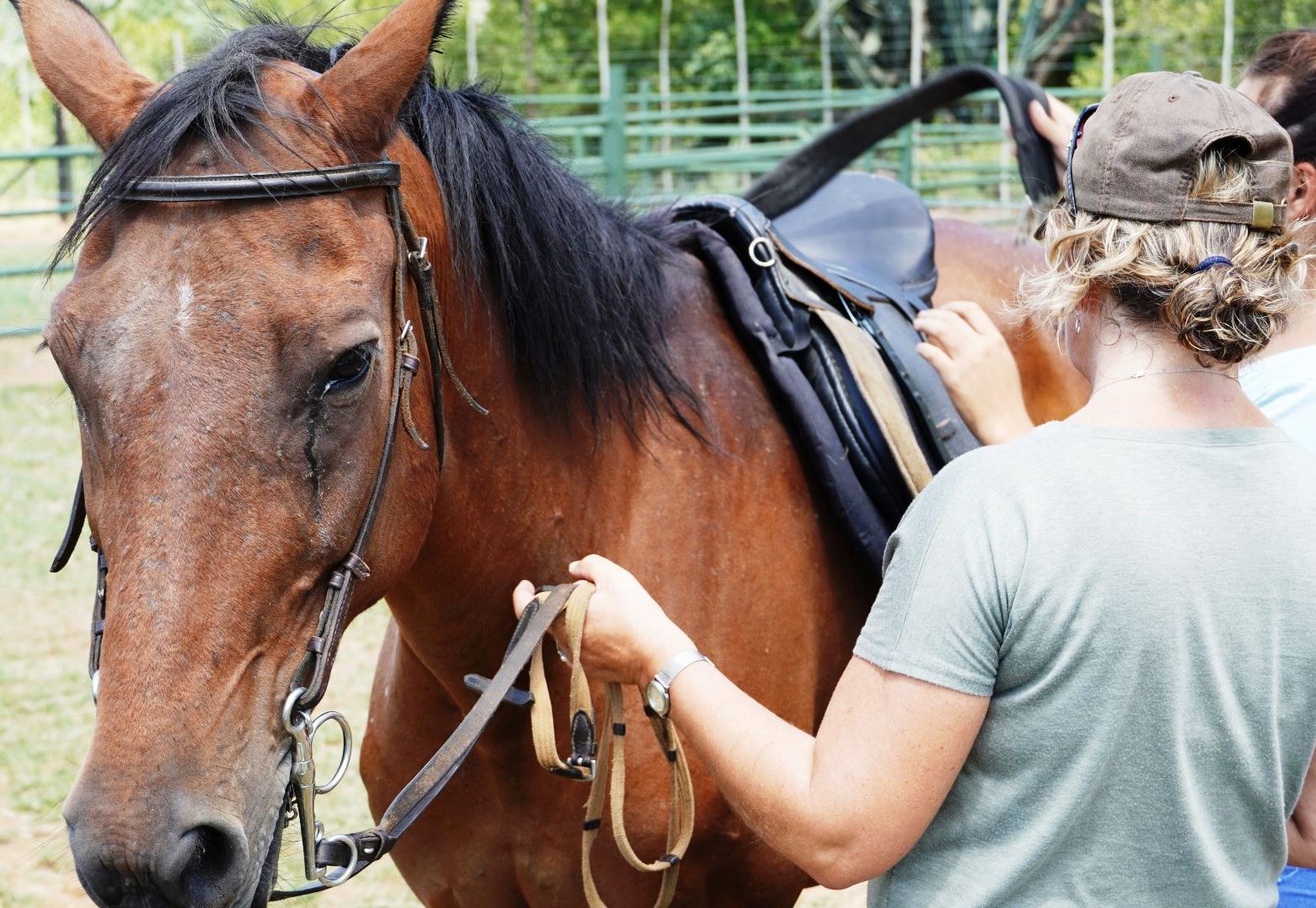 Horse Safaris Berchtesgaden Waterberg